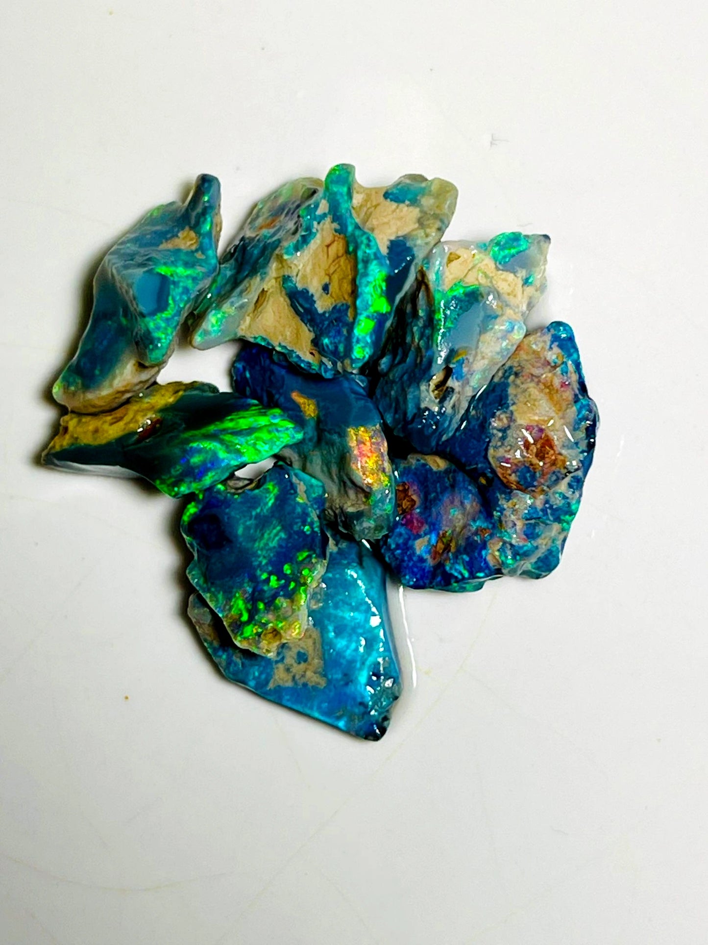 31cts Lightning Ridge Rough Opal Black Dark Seams Gorgeous Bright Multi colours 19x12x4mm to 13x11x3mm SKU#0665