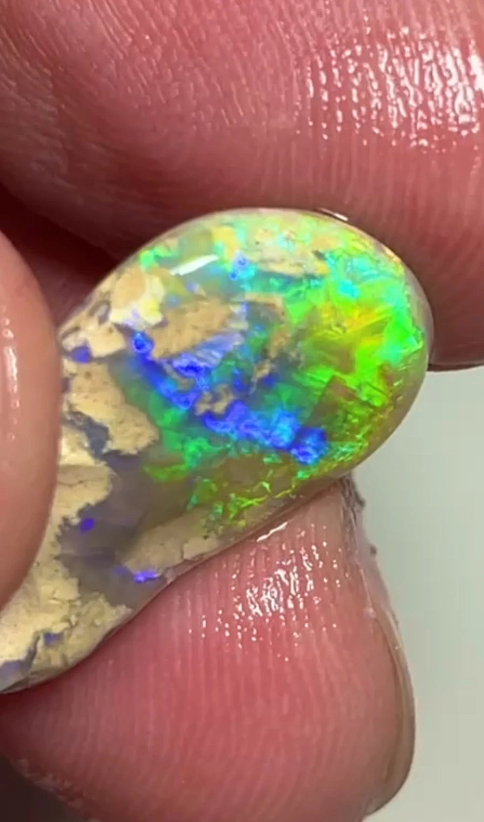 Yellow/Blue/Green dominant Very Bright Multifires 7.30cts Lightning Ridge knobby opal rub/rough 21x12x3mm  SKU#RLN011