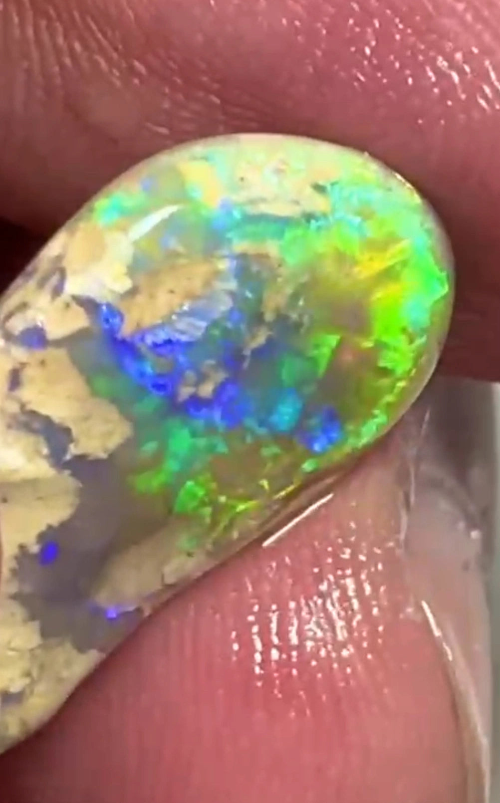 Yellow/Blue/Green dominant Very Bright Multifires 7.30cts Lightning Ridge knobby opal rub/rough 21x12x3mm  SKU#RLN011