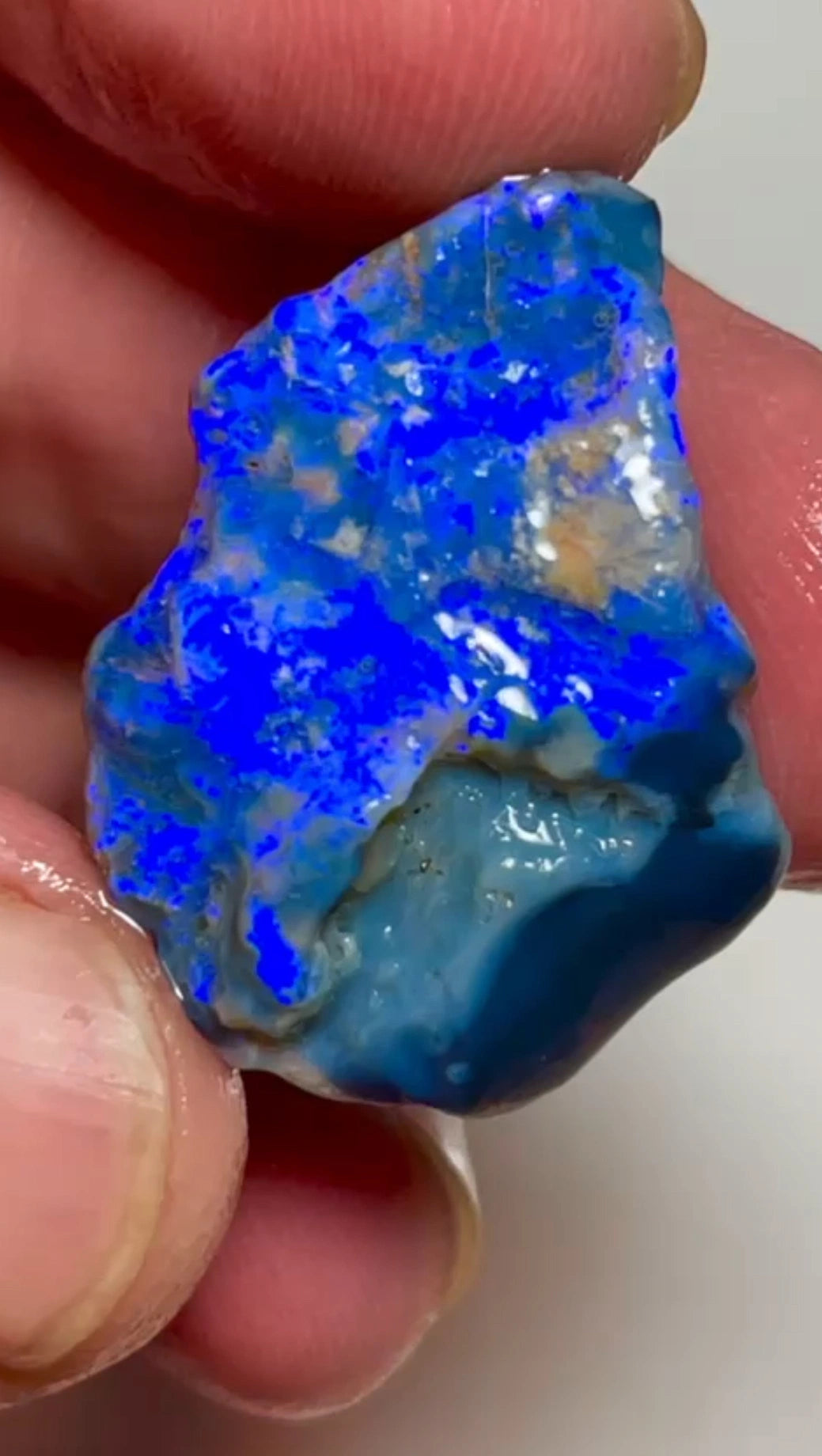 Thick Black Seam opal rough 31.75cts Lightning Ridge Bright Royal Blues to Cut 29x23x7mm SKU#RLN010