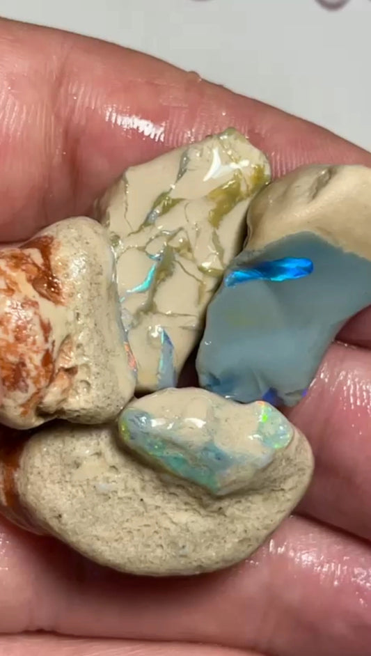 Selection of opal formations rough from Lighting Ridge 99.00cts Colourful material to gamble 35x15x15mm to 27x14x10 mm SKU#RLN008