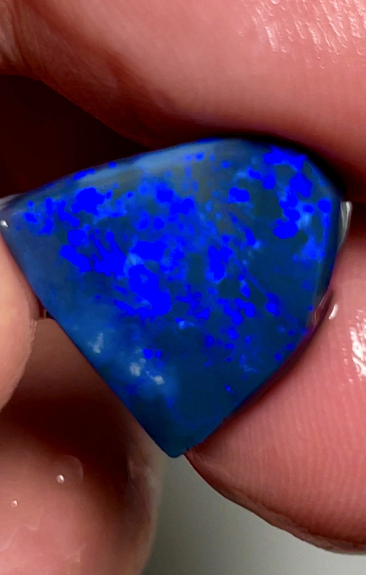 10cts Lightning Ridge Dark Opal Rub gorgeous Blues 17x12x3mm SKU#0270