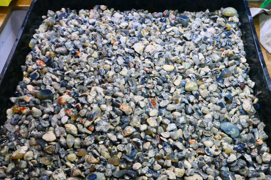 Lightning Ridge Knobby Fossil & Seam Potch Left over from Weeks Wash there is over 10kgs here or 50,000cts Selling in 1000cts Random Scoops 30mm to chip size