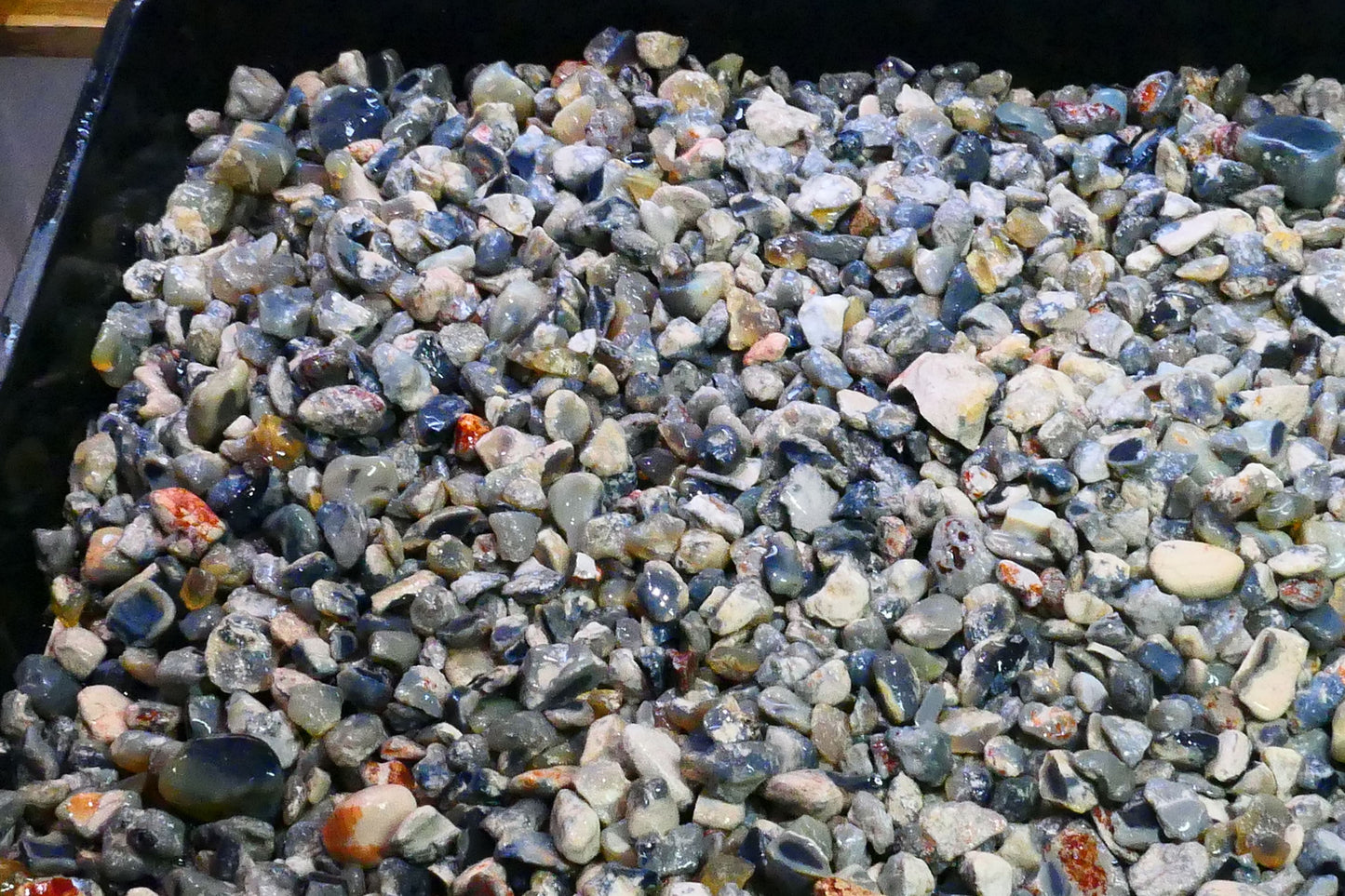 Lightning Ridge Knobby Fossil & Seam Potch Left over from Weeks Wash there is over 10kgs here or 50,000cts Selling in 1000cts Random Scoops 30mm to chip size