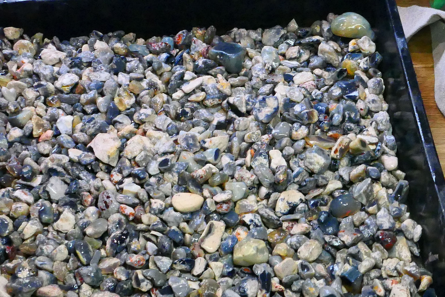 Lightning Ridge Knobby Fossil & Seam Potch Left over from Weeks Wash there is over 10kgs here or 50,000cts Selling in 1000cts Random Scoops 30mm to chip size