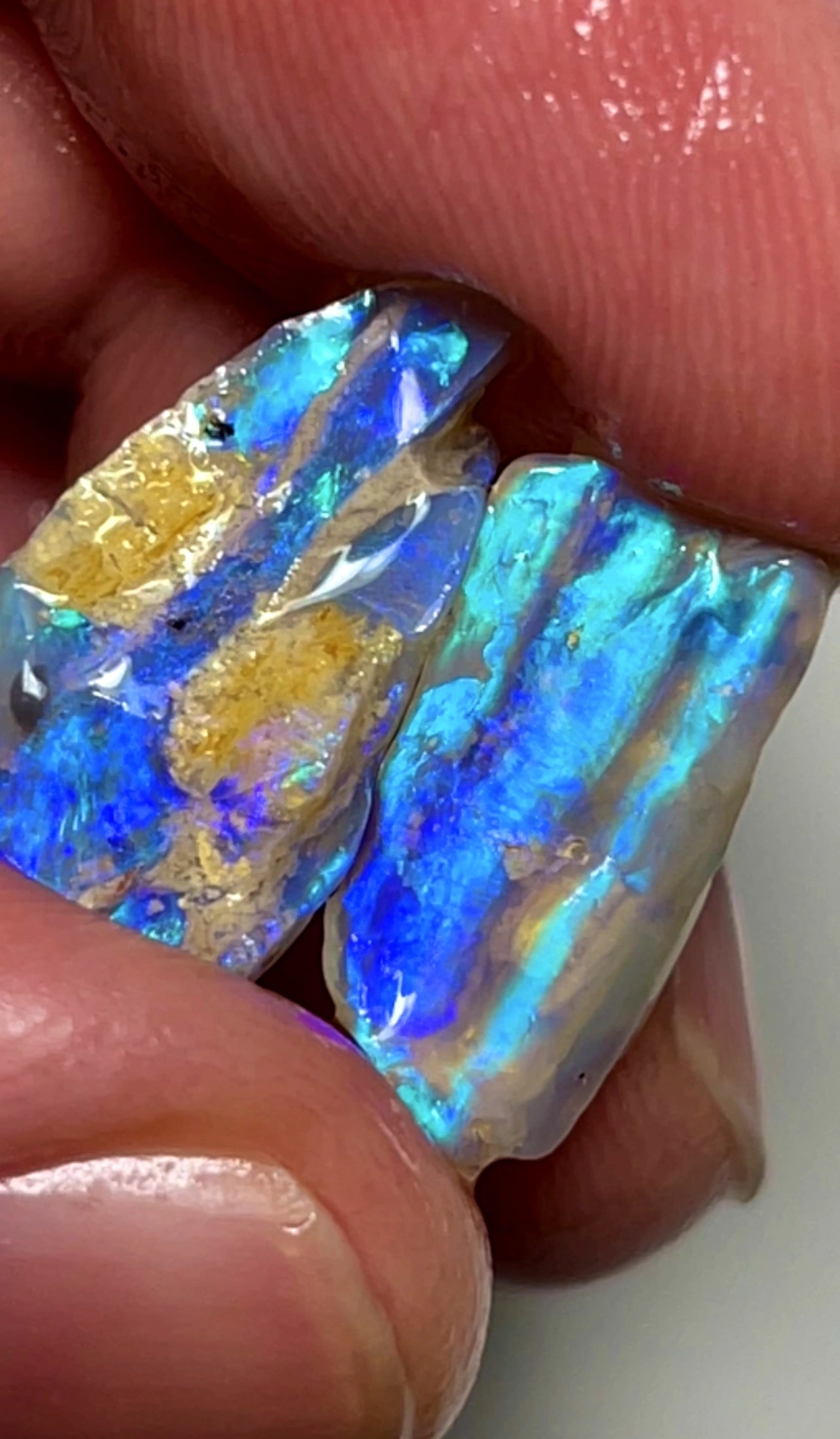 13.5cts Lightning Ridge rough Dark Crystal Opalised woods fossils gorgeous Saturation of bright fires 20x10x8mm & 16x8x3mm SKU#1787