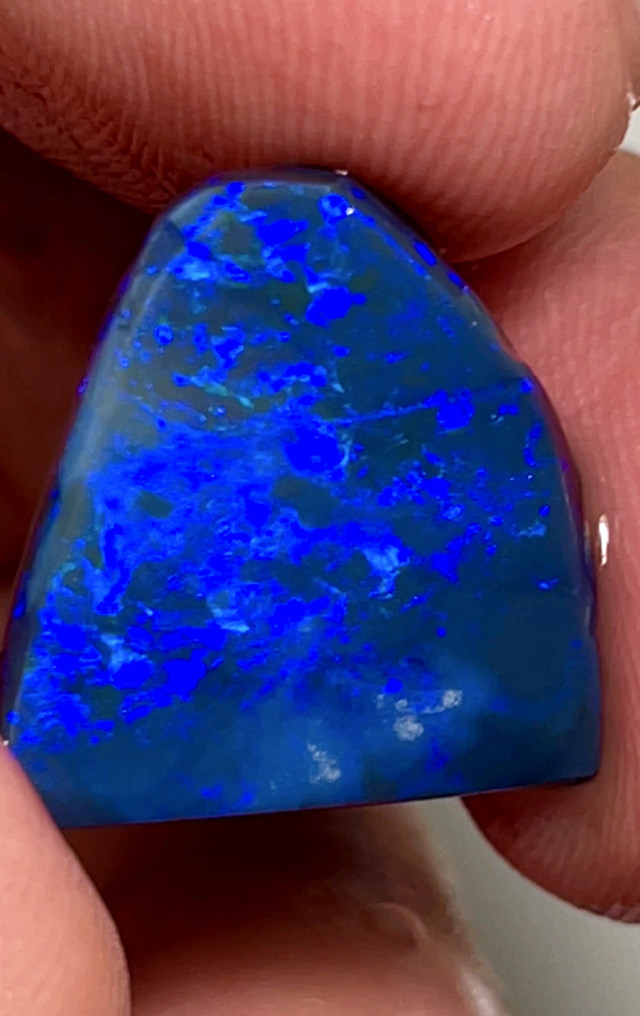 10cts Lightning Ridge Dark Opal Rub gorgeous Blues 17x12x3mm SKU#0270