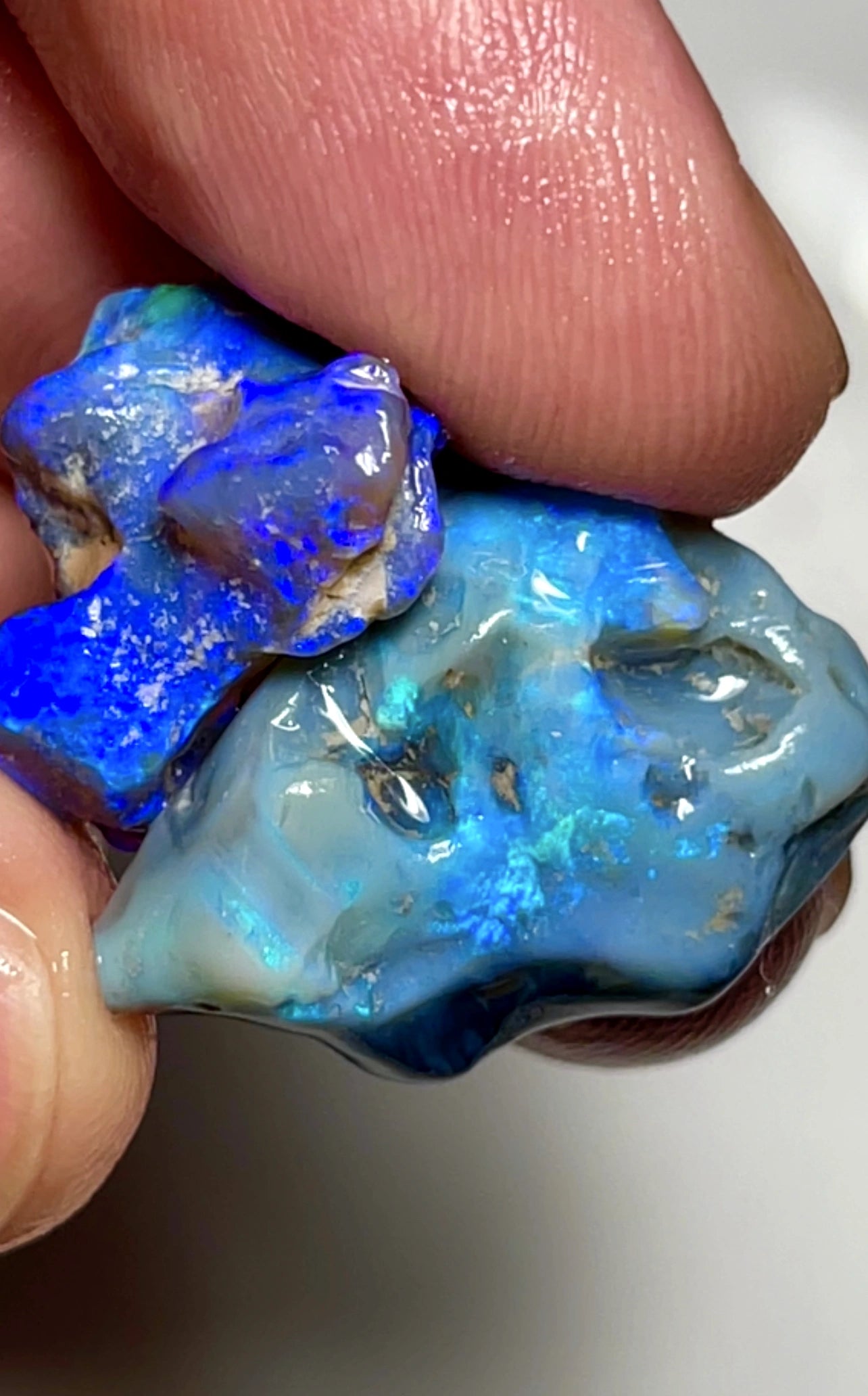 26cts Lightning Ridge Untouched Dark Seam Opal rough gorgeous Blues /Greens 22x18x7 & 18x15x8mm SKU#2626