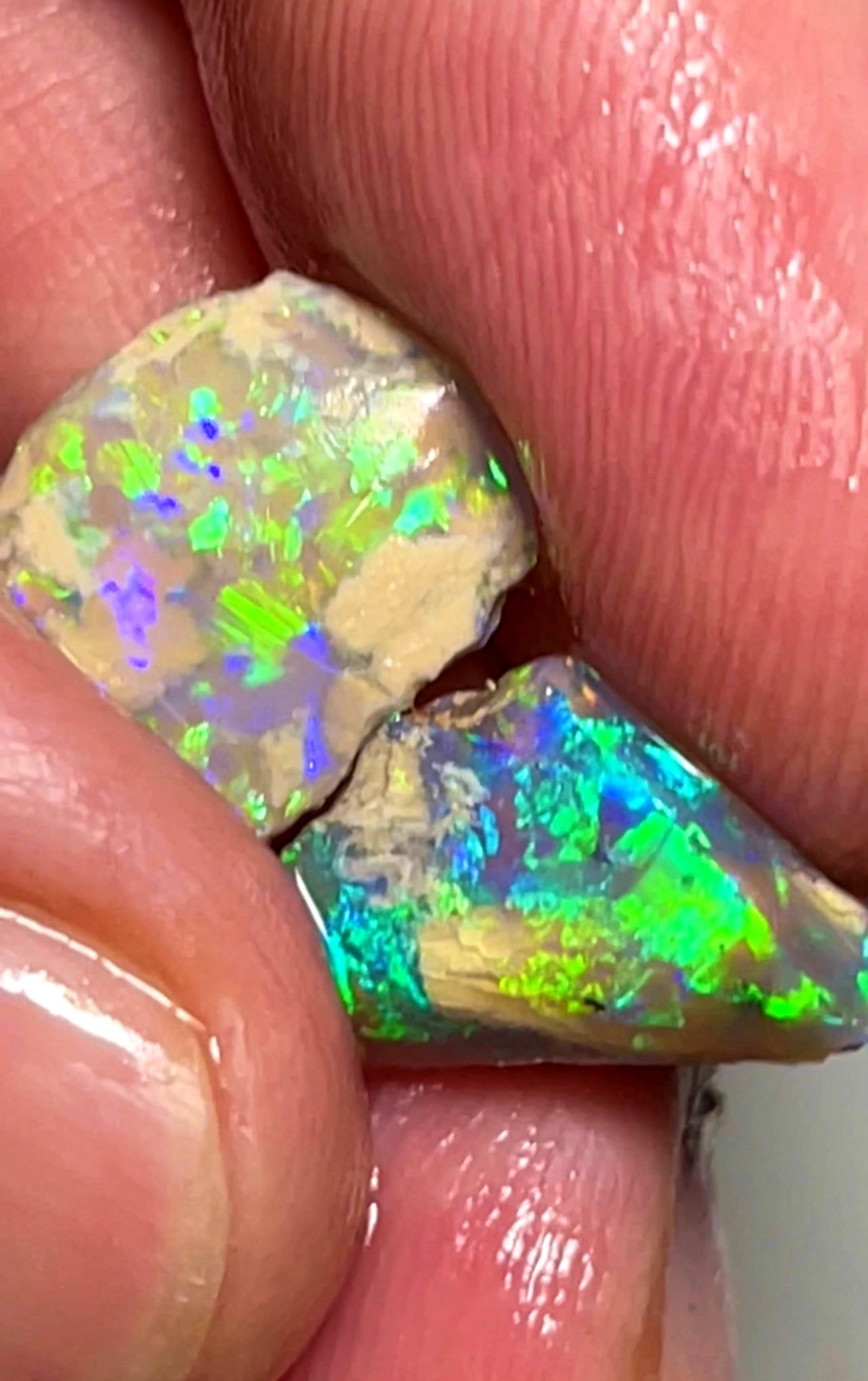 5.75cts Lightning Ridge Rough/rub Opal Crystal / Dark Pair Stunning Vibrant Multifires 16x10x4mm & 14x10x2mm SKU#0001