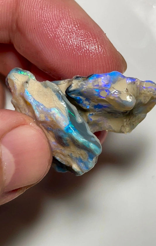 47cts Lightning Ridge Rough untouched seam opal pair showing colours 32x20x8mm & 29x25x5mm SKU#9858