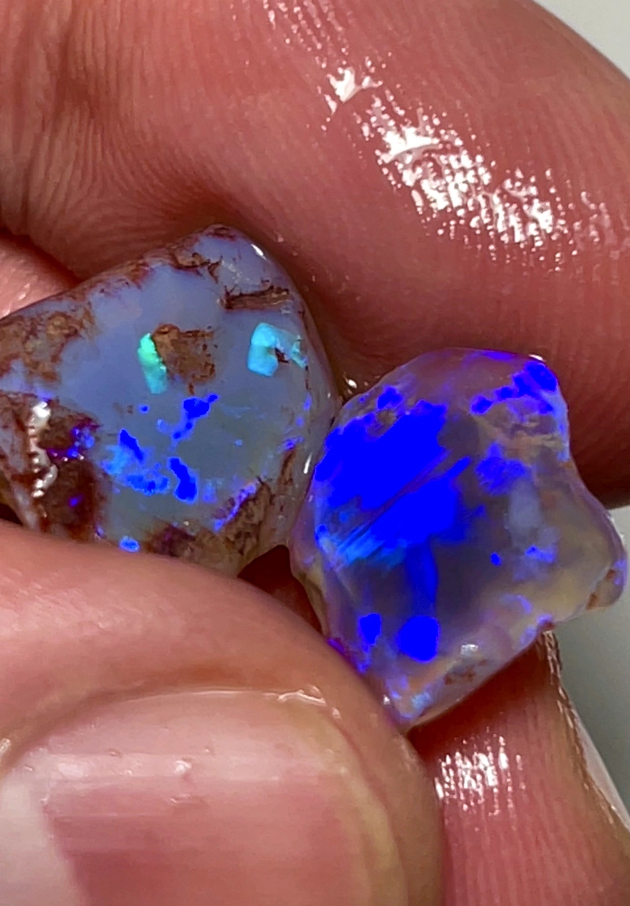 12.75cts Lightning Ridge Dark Crystal Opal Rub / rough pair Bright gorgeous Blues 15x11x6 & 12x10x4mm  SKU#1790