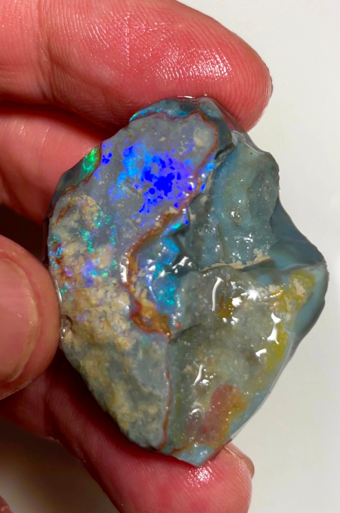 96cts Lightning Ridge Rough Opal Untouched Big thick Dark Seam nice Blues 44x37x8mm SKU#7847