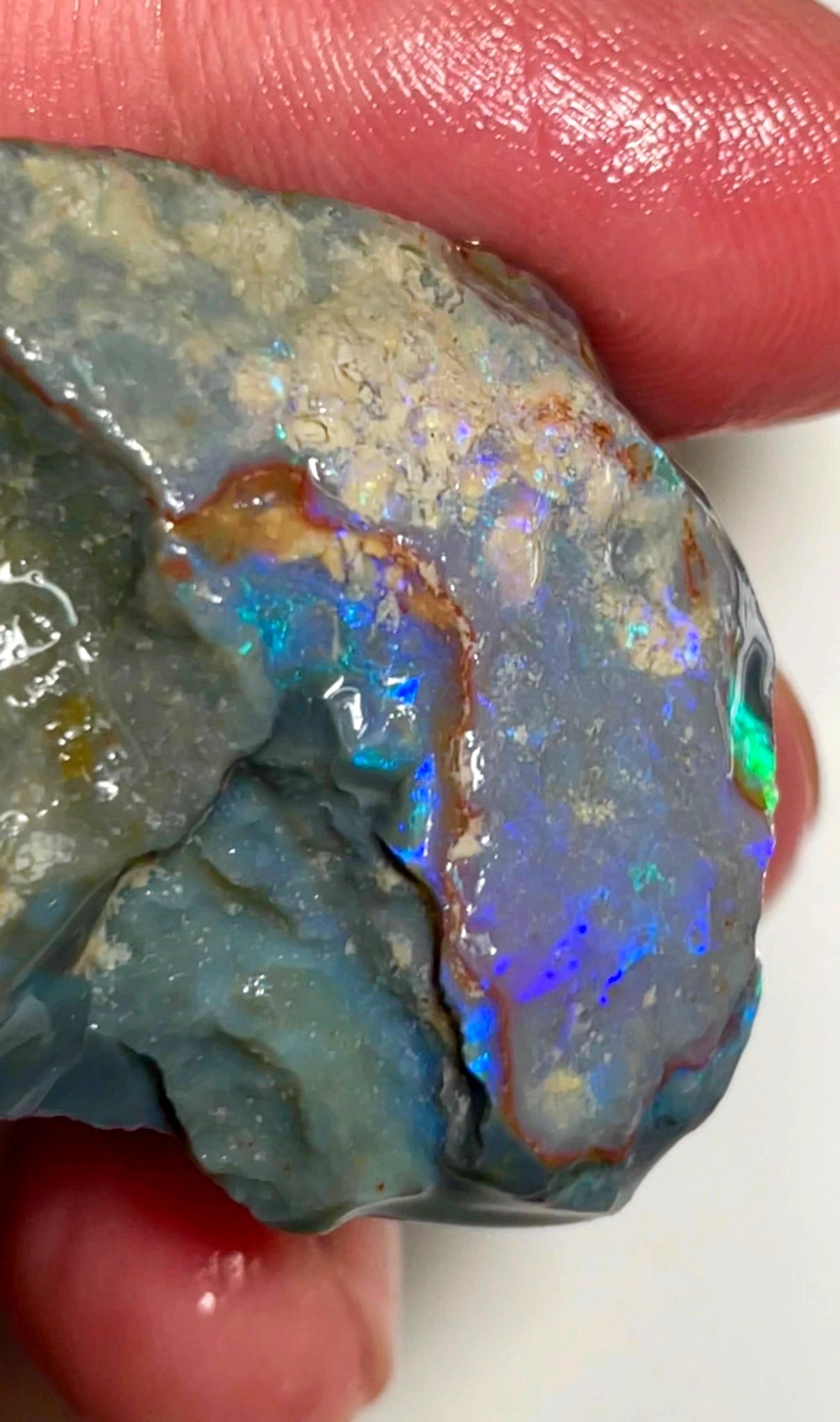 96cts Lightning Ridge Rough Opal Untouched Big thick Dark Seam nice Blues 44x37x8mm SKU#7847