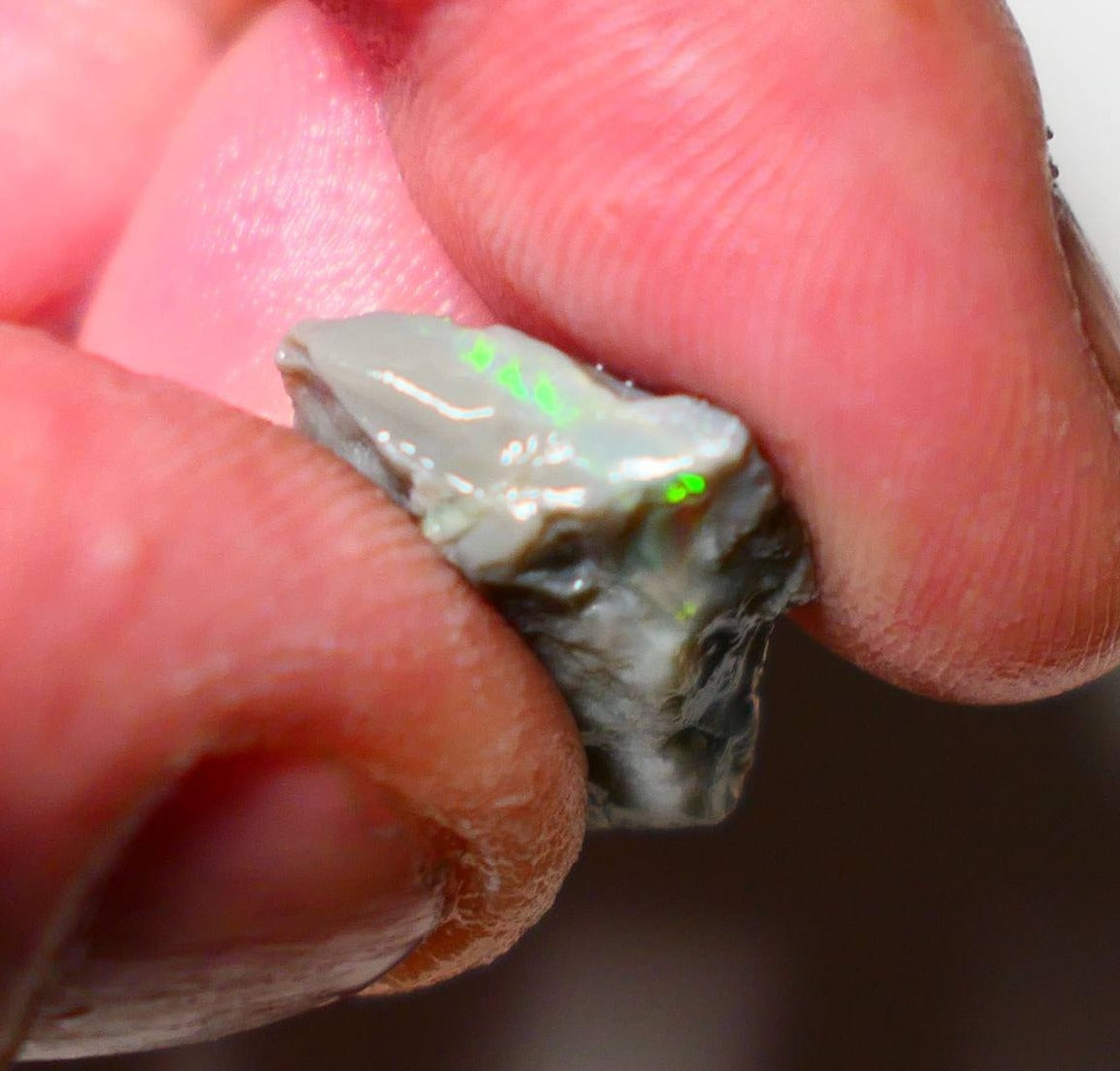 9.5cts Lightning Ridge Rough Opal Gamble Dark Seam Bright Multifires 19x15x7mm SKU#CA001