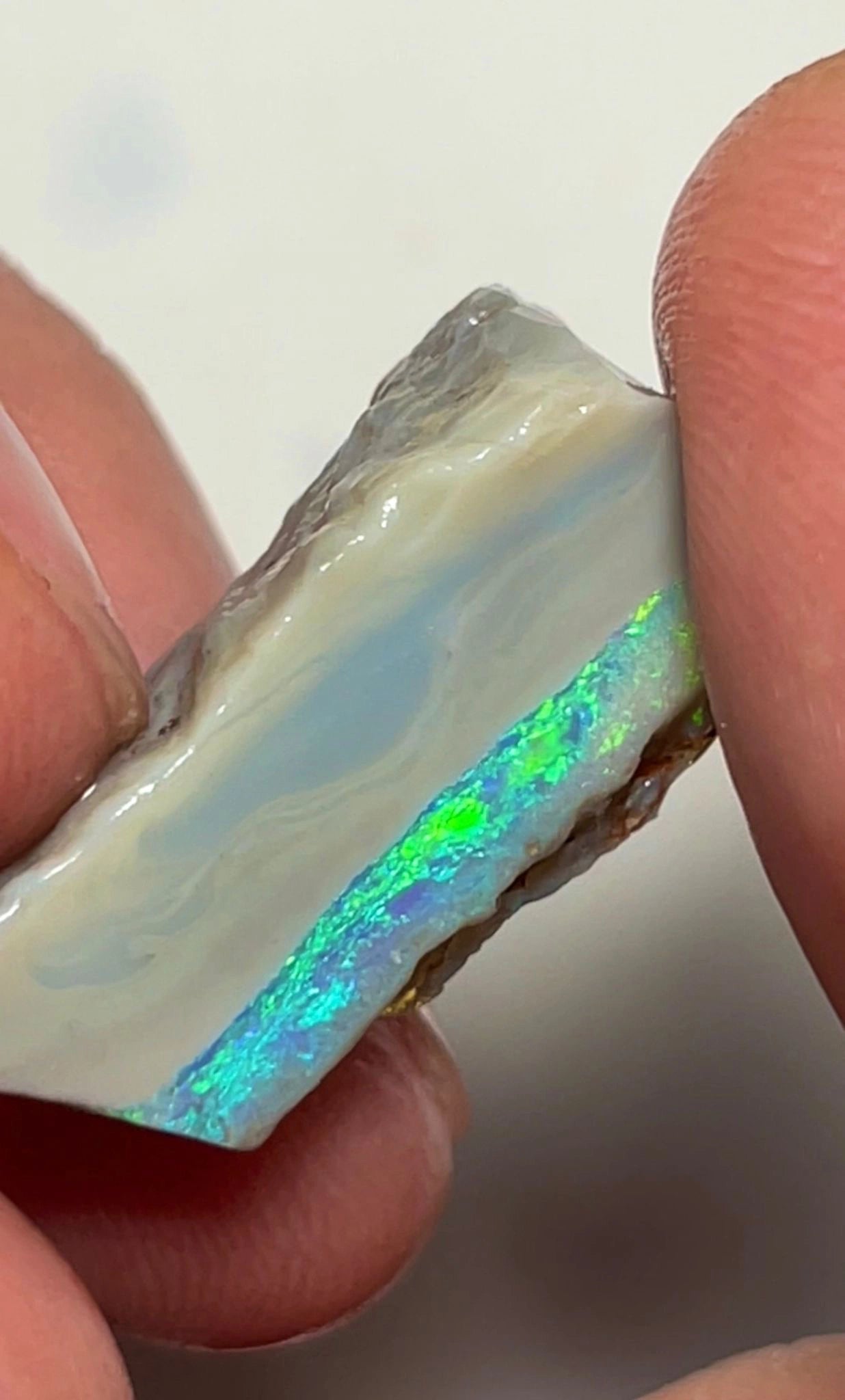 16.75cts Lightning Ridge Rough Opal Dark Seam to cut gorgeous Multifires 27x10x9 mm SKU#3731