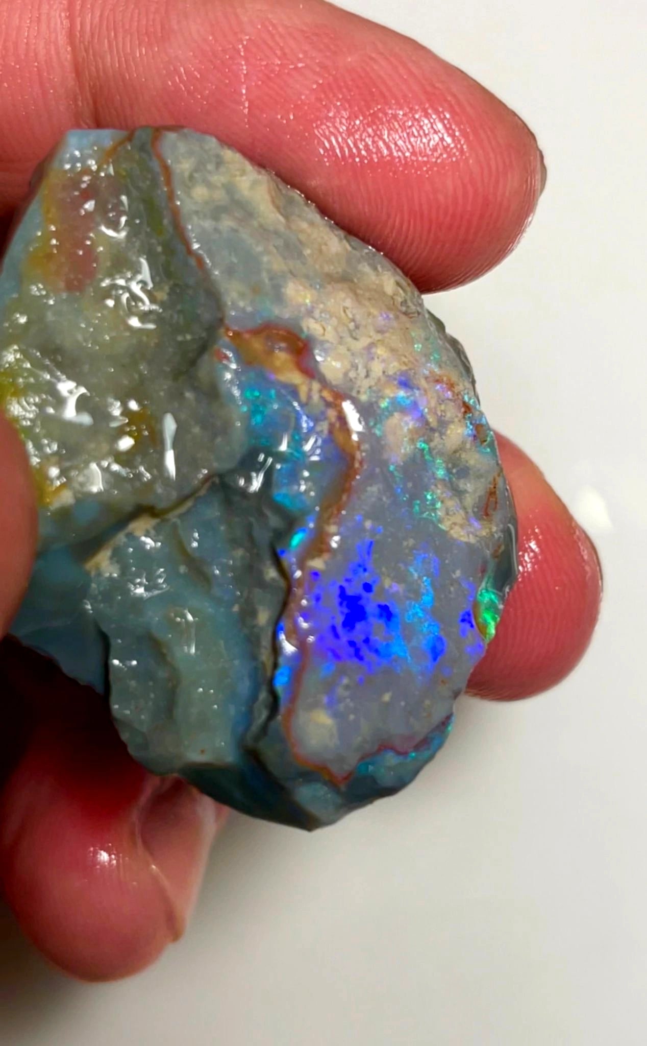 96cts Lightning Ridge Rough Opal Untouched Big thick Dark Seam nice Blues 44x37x8mm SKU#7847