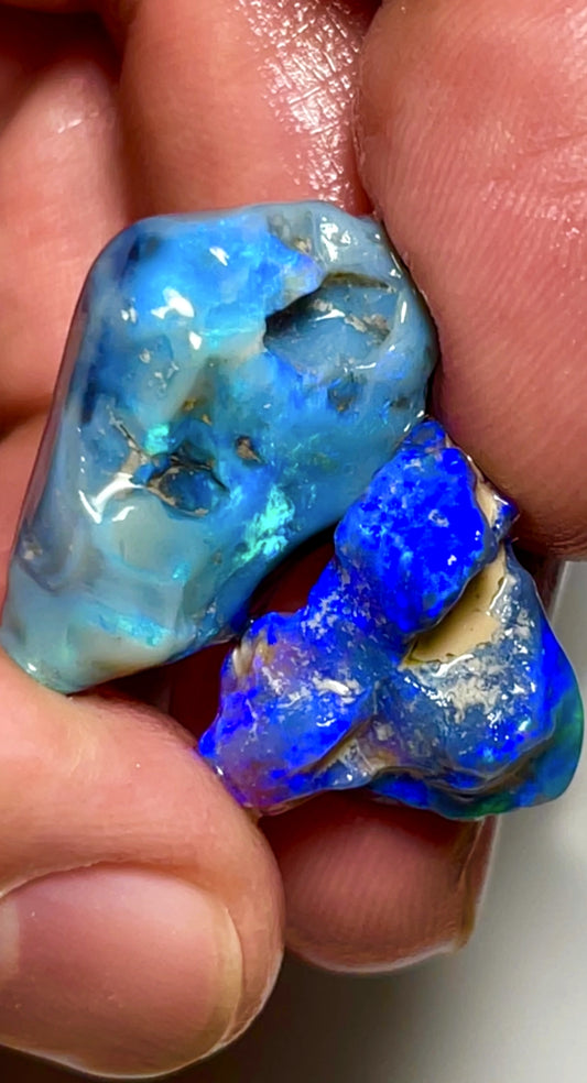 26cts Lightning Ridge Untouched Dark Seam Opal rough gorgeous Blues /Greens 22x18x7 & 18x15x8mm  SKU#2626