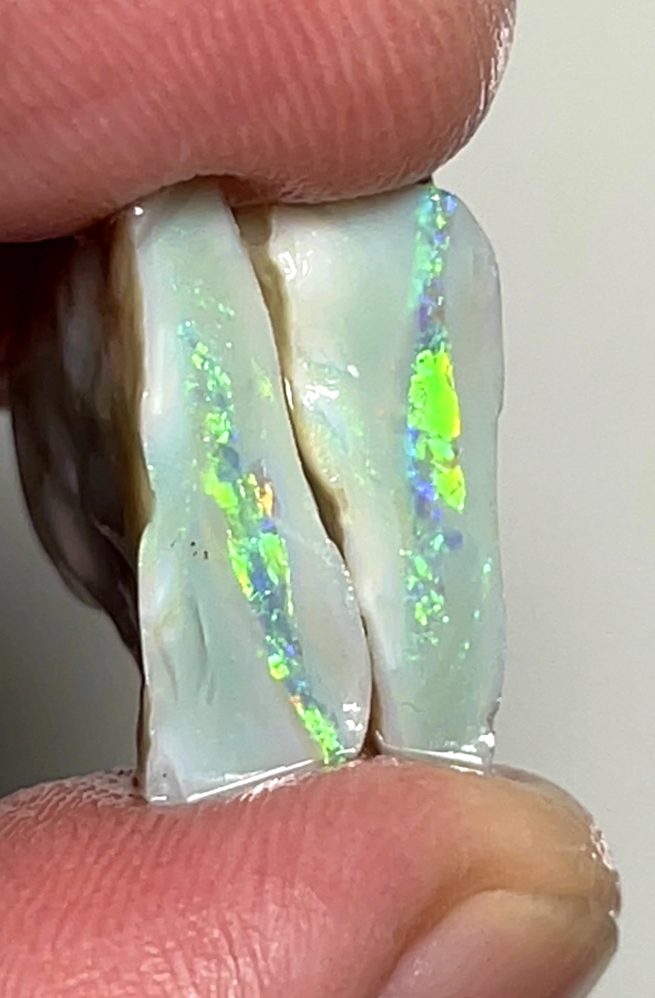 15.25cts Lightning Ridge Rough Opal Dark Seam to cut gorgeous Multifires 16x15x3mm & 18x10x4mm SKU#0269