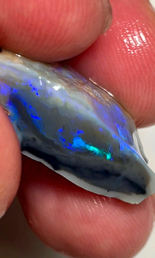 14.5cts Lightning Ridge Rough Opal Dark Seam gorgeous Green/ Blues 24x13x9mm SKU#7848