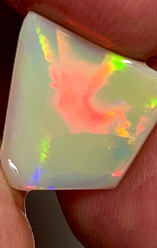 2.45cts Lightning Ridge Rub Opal gorgeous Broad zones of Flagstone pattern Top multifires 17x11x2mm  SKU#7601