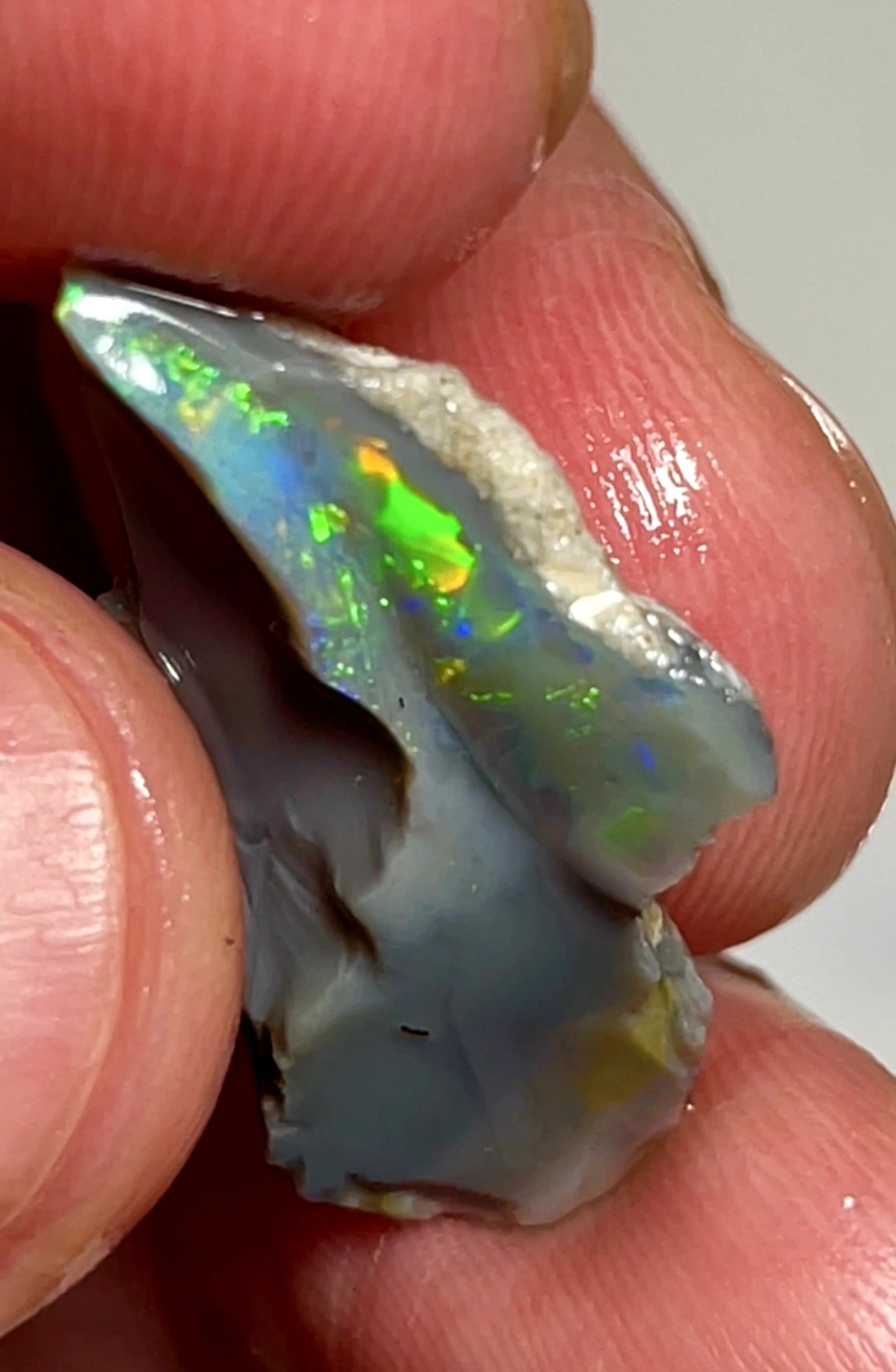 9cts Lightning Ridge Rough Opal Dark Seam gorgeous Green & Golds  25.000 x 17.000 x 4.000 mmSKU#7258