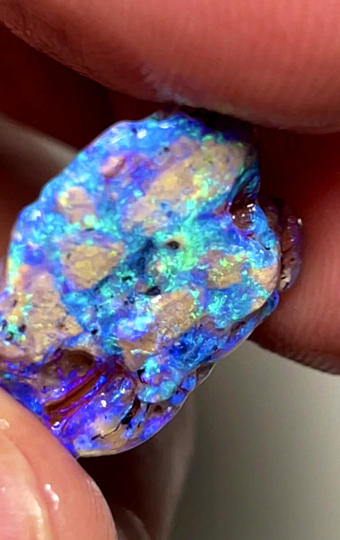 11.75cts Lightning Ridge Rough Opal Fossil Opalised Wood Gorgeous Saturation of Blue/Green fires 18.000x15.000x9.000 mm SKU#1792