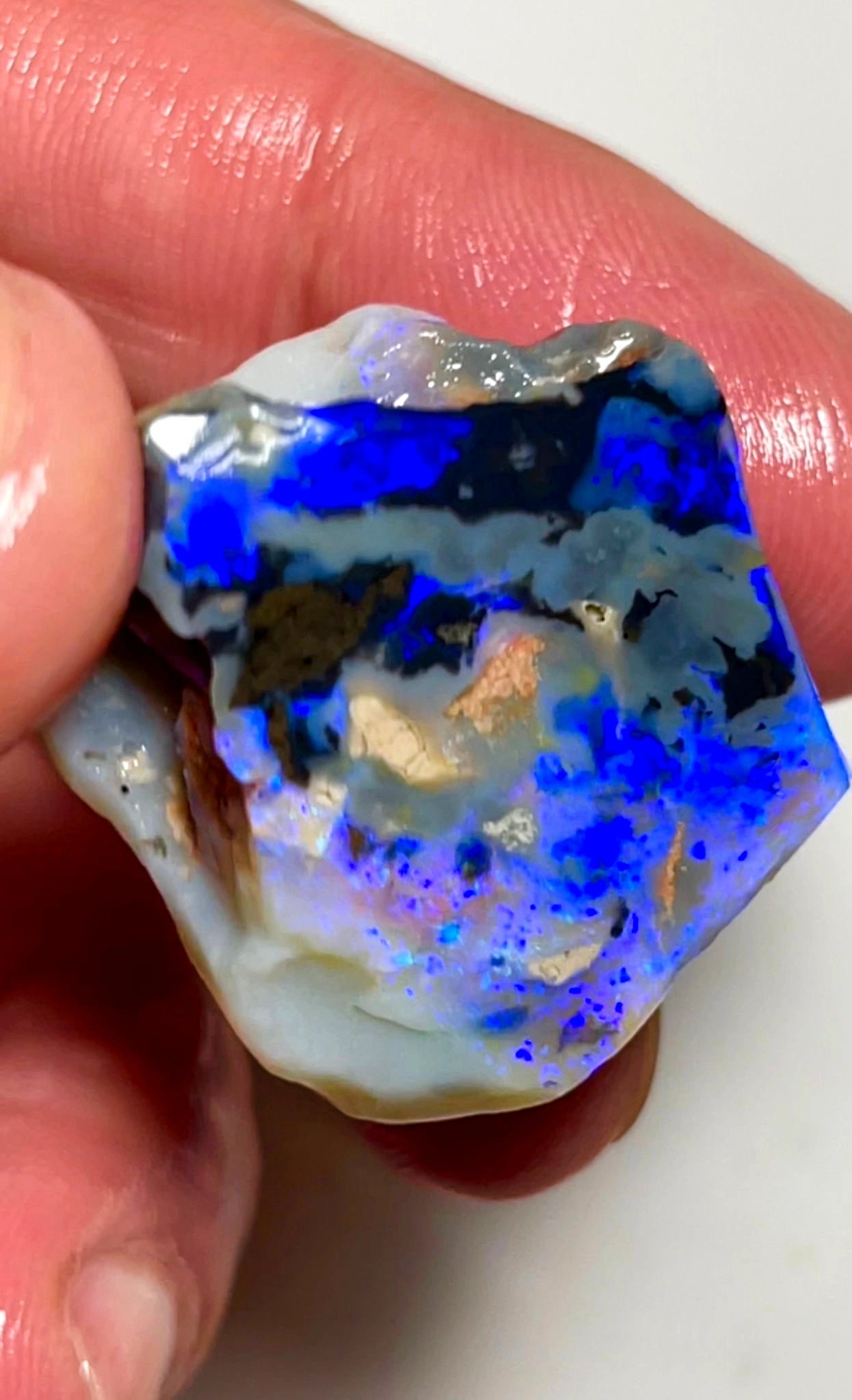 58cts Lightning Ridge Rough/Rub Opal Big Black/dark Seam Gorgeous  Blues 30x24x12 mm SKU#0896