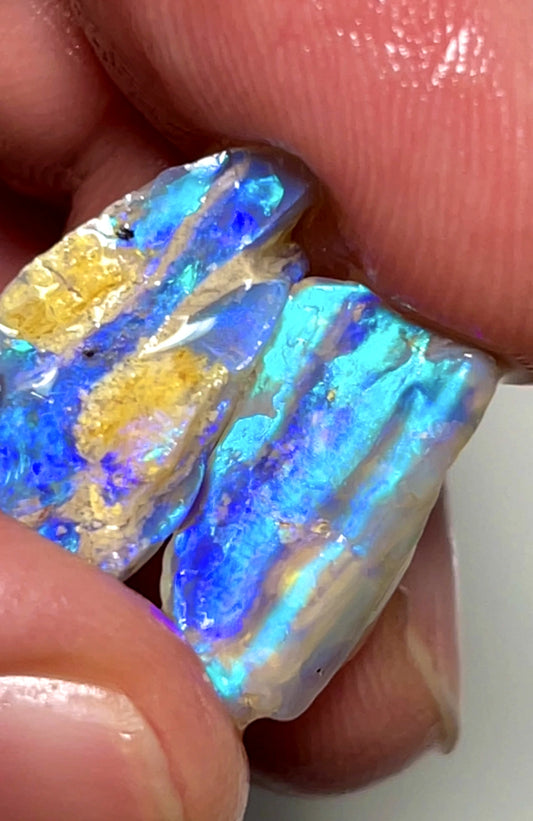 13.5cts Lightning Ridge rough Dark Crystal Opalised woods fossils gorgeous Saturation of bright fires 20x10x8mm & 16x8x3mm SKU#1787