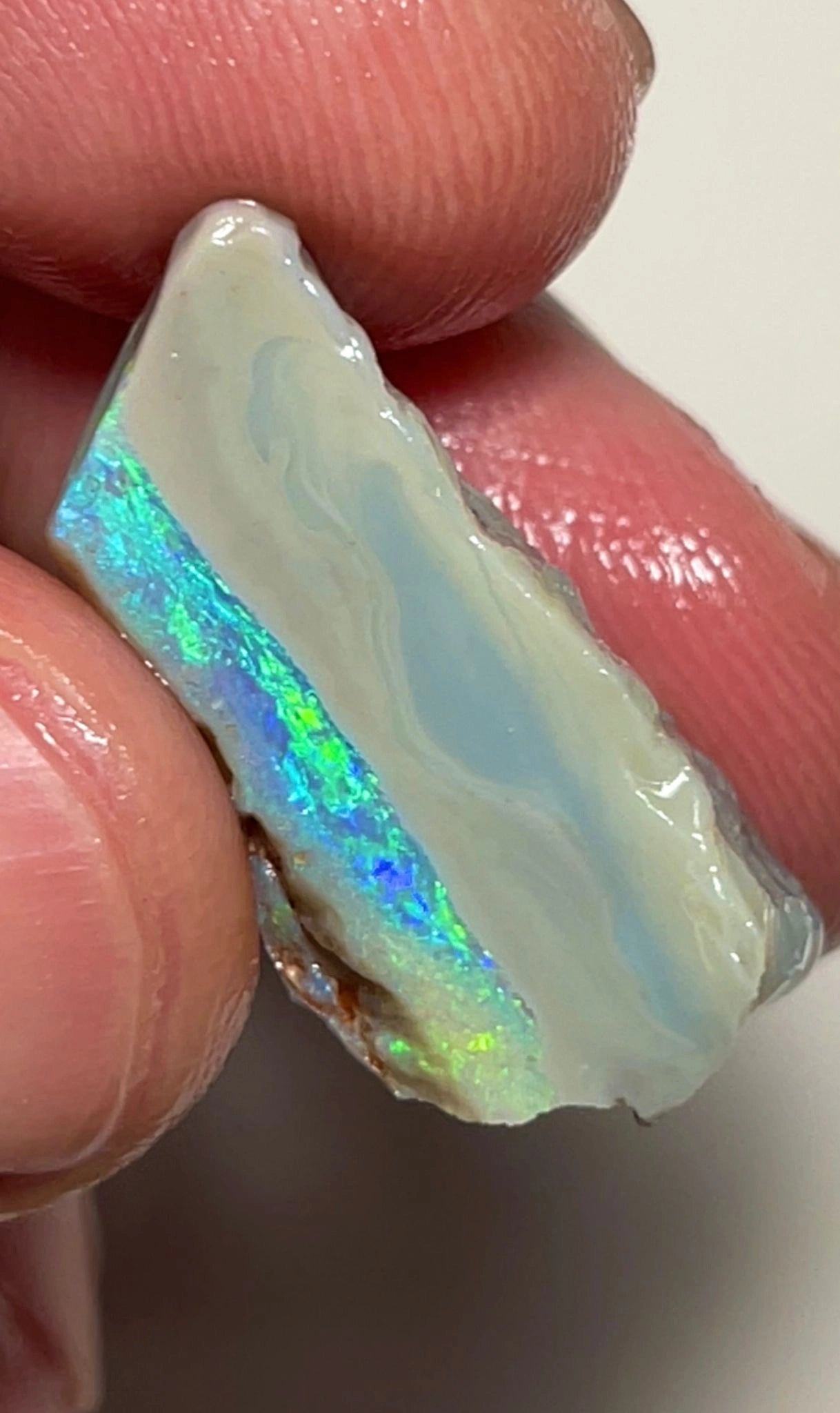 16.75cts Lightning Ridge Rough Opal Dark Seam to cut gorgeous Multifires 27x10x9 mm SKU#3731