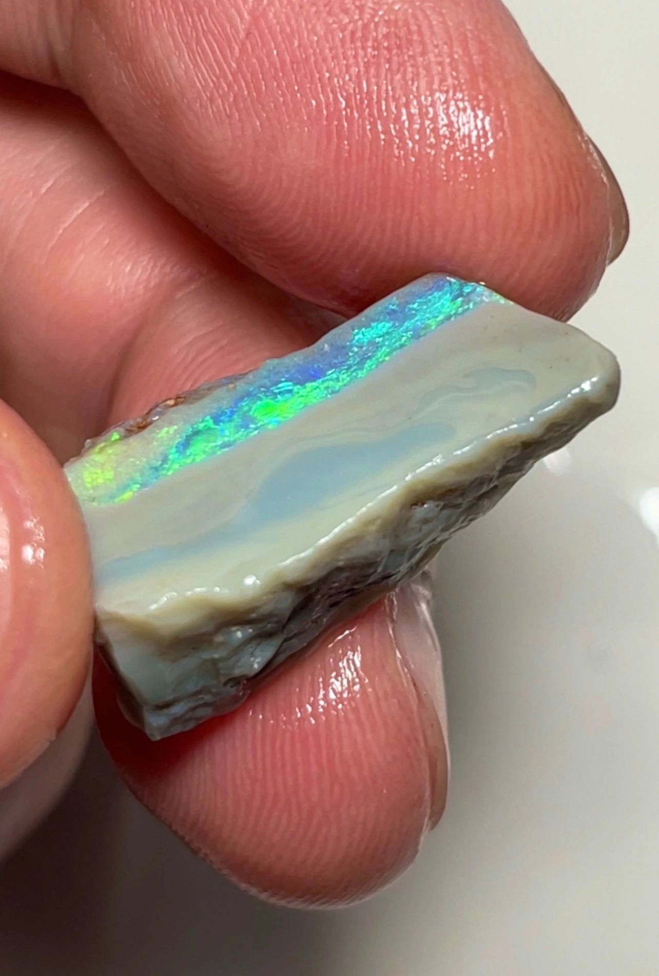 16.75cts Lightning Ridge Rough Opal Dark Seam to cut gorgeous Multifires 27x10x9 mm SKU#3731