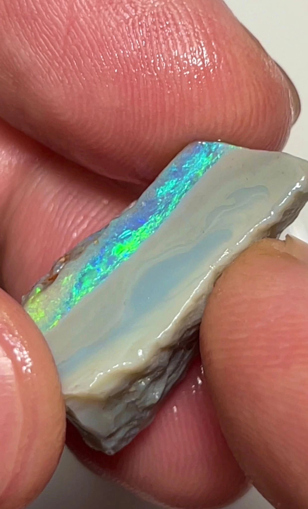 16.75cts Lightning Ridge Rough Opal Dark Seam to cut gorgeous Multifires 27x10x9 mm SKU#3731