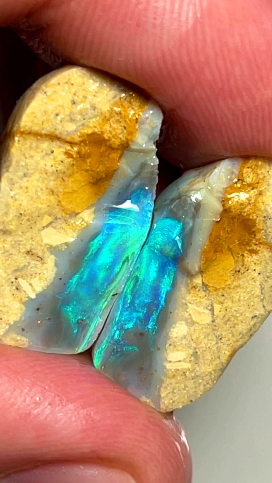 37cts Lightning Ridge Rough Opal Dark Seam Split Pair Bright & Exotic Teal/Blue/Green fires 23x16x11mm & 22x11x10mm SKU#0277